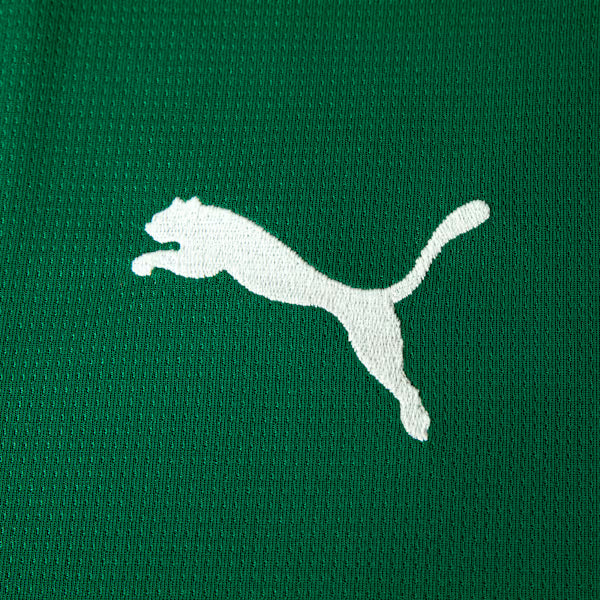 Camisa Puma Palmeiras 2026/27 I Jogador